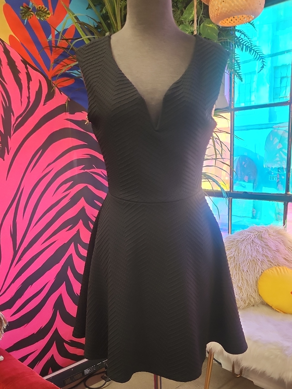 Sleeveless Black V-Neck Fit & Flare Mini Dress
